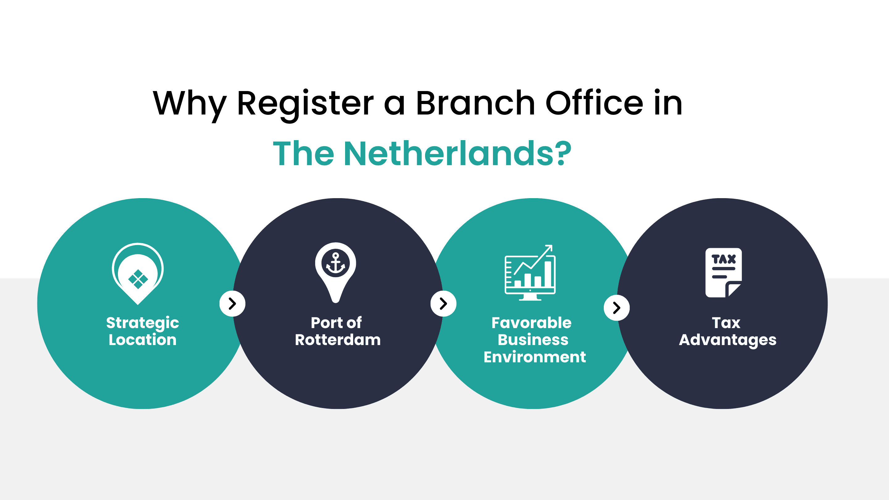 reason to register a branch office in the netherlands