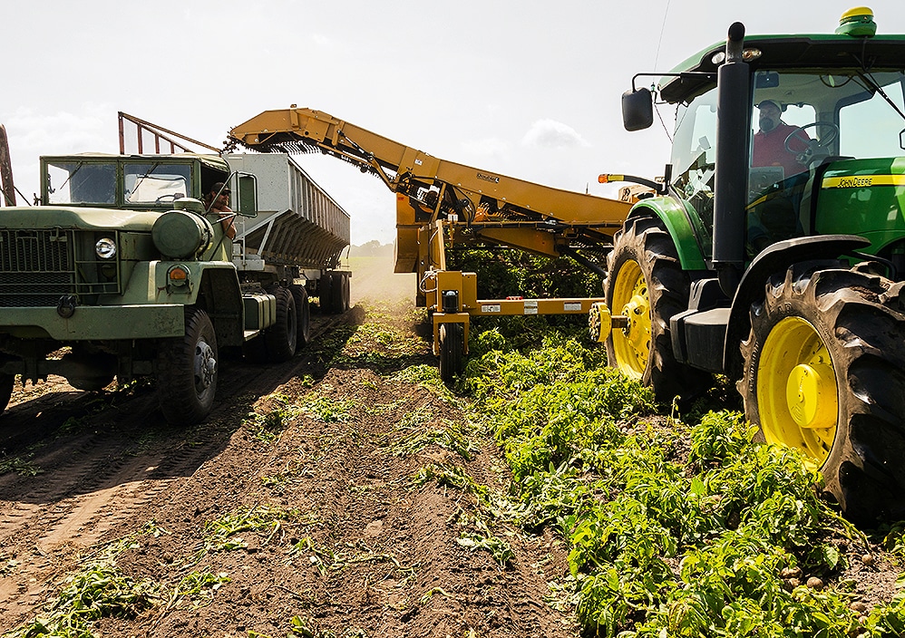 Netherlands-Agriculture & Commodities