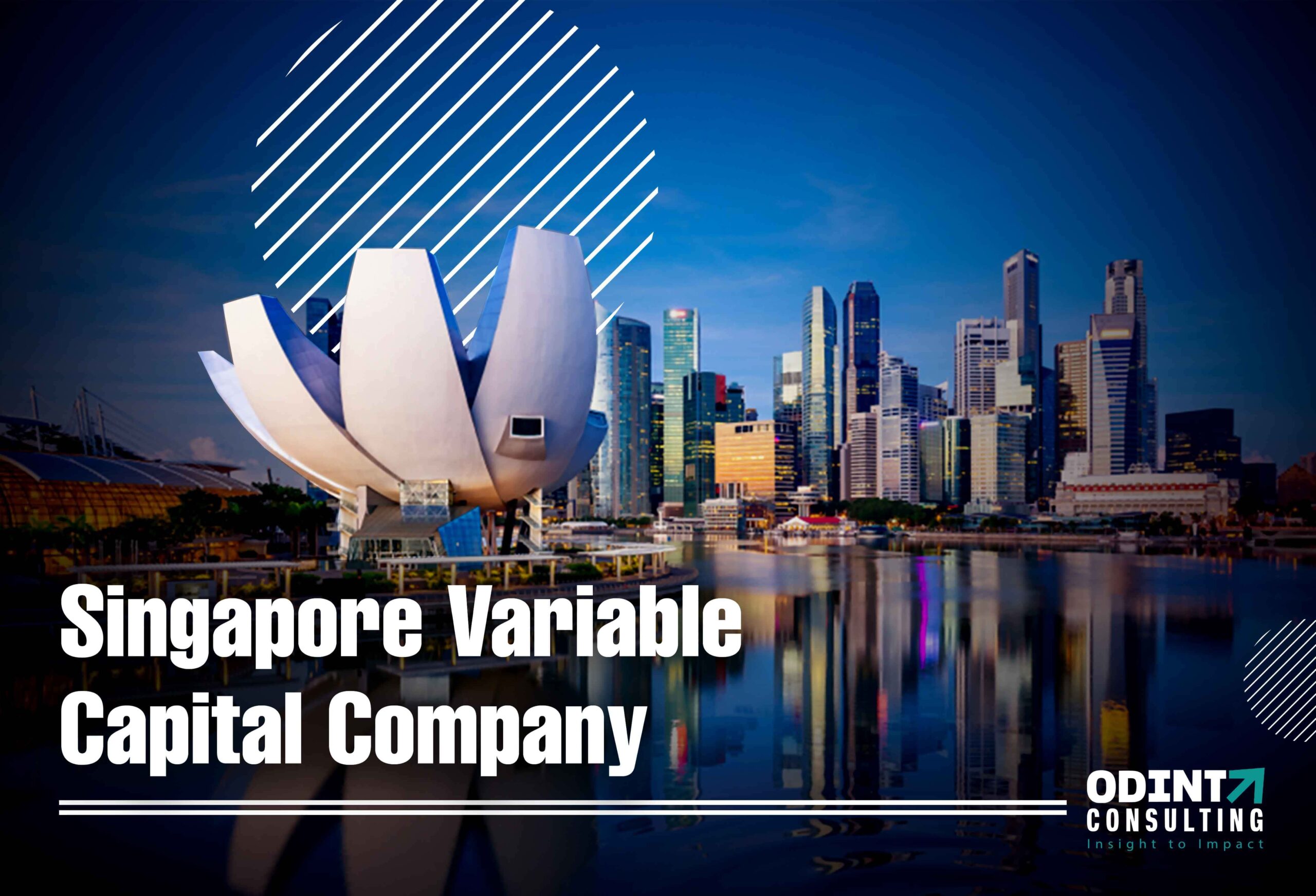 Singapore Variable Capital Company (VCC) – Requirements & Procedure