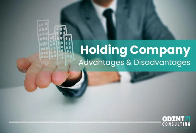 holding company advantages and disadvantages