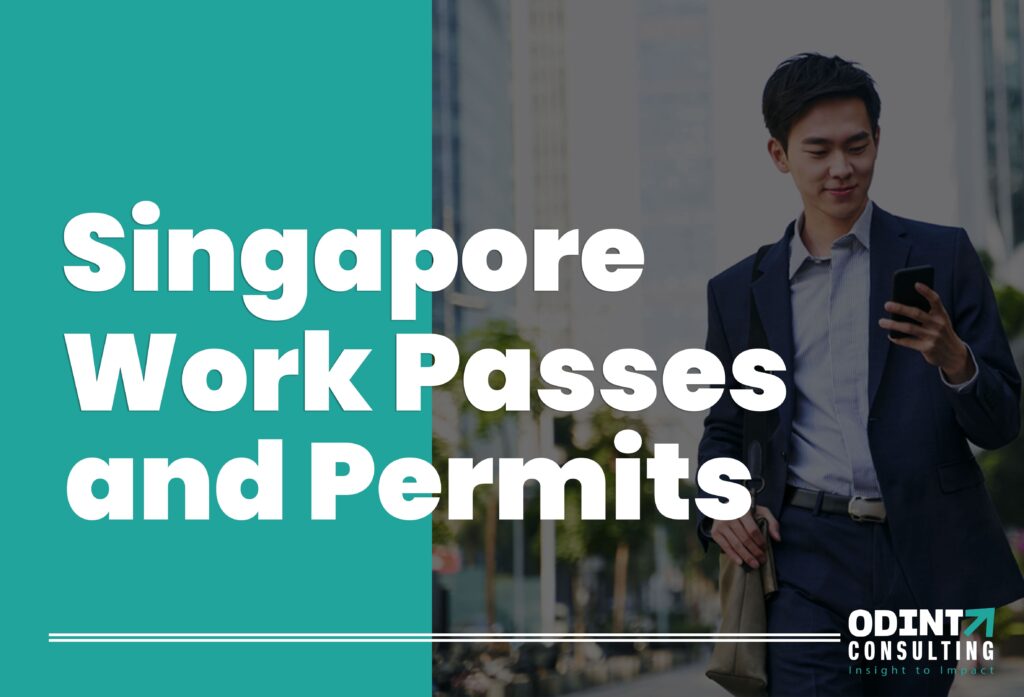 singapore work passes and permits