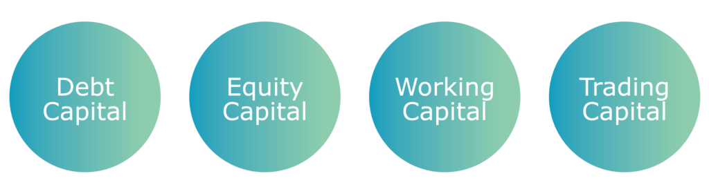 types of capital in business