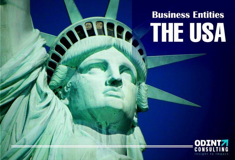 Types Of Business Entities In The USA ODINT Consulting