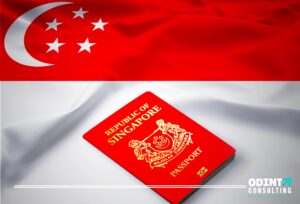 singapore long term visit pass