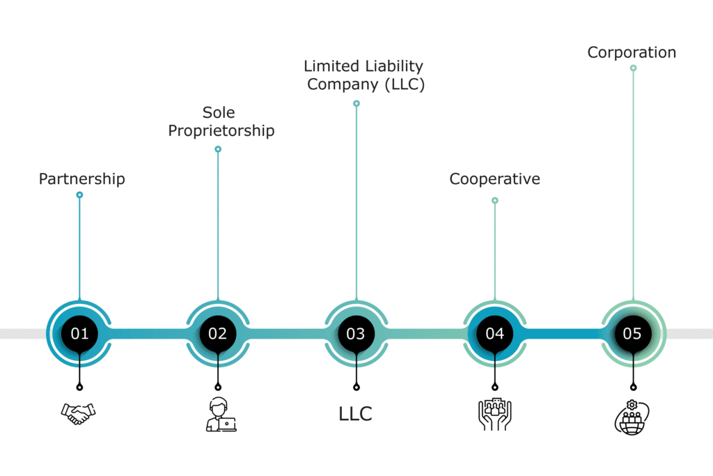 types of entities in usa