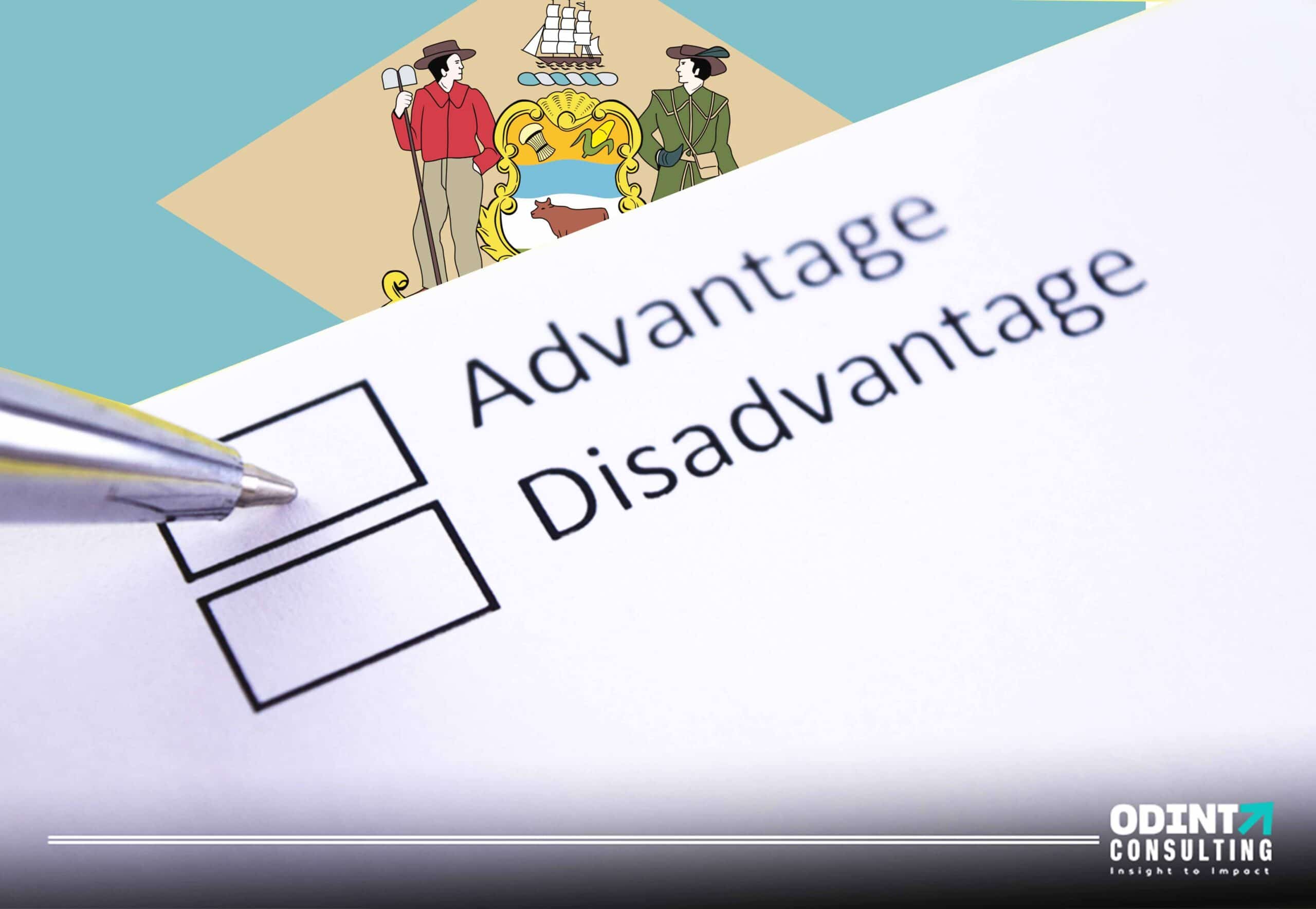 advantages and disadvantages of delaware company formations