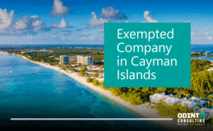 exempted company in cayman islands