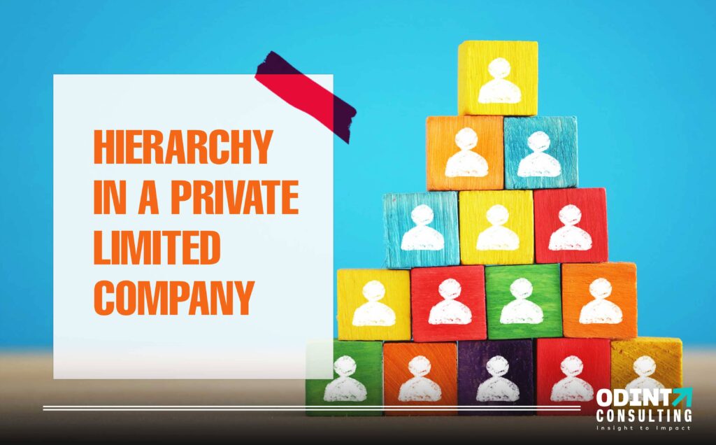 hierarchy in a private limited company