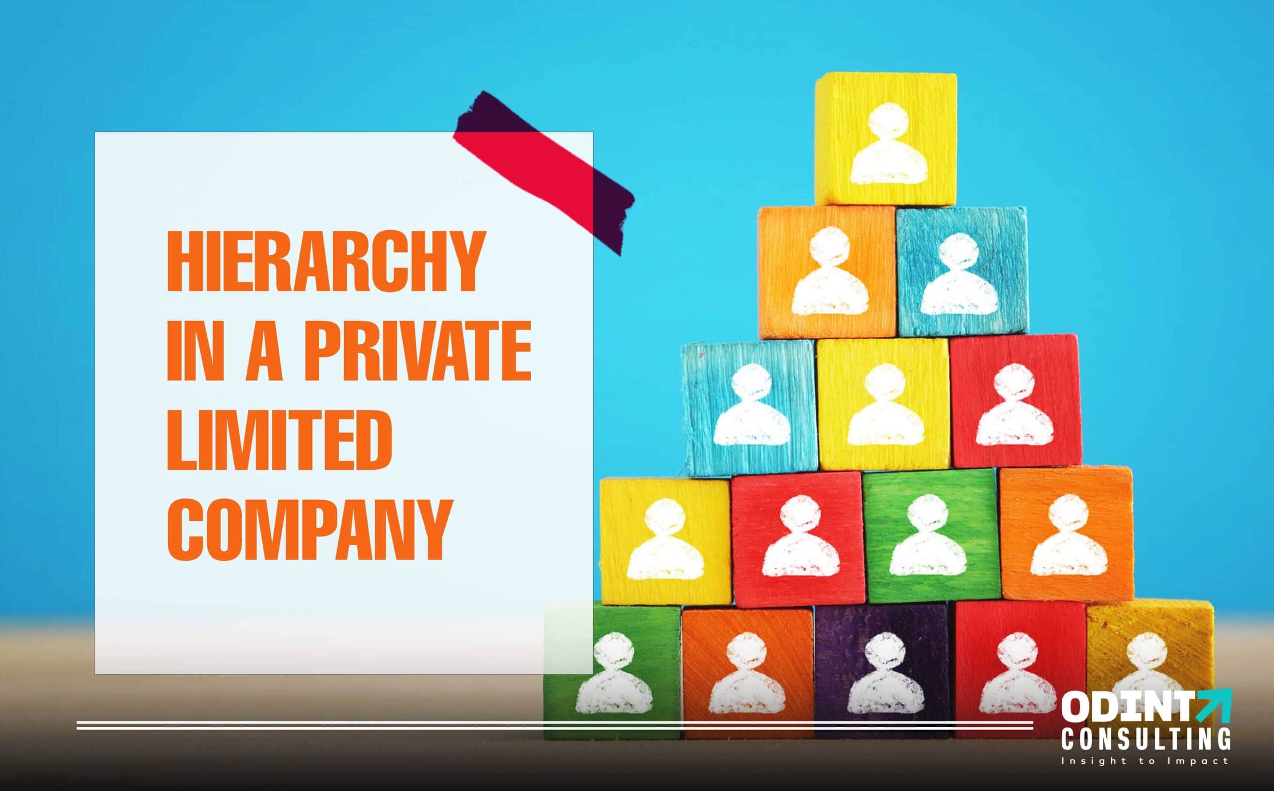 Hierarchy in a Private Limited Company & Their Roles Explained