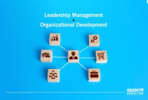 leadership management and organizational development