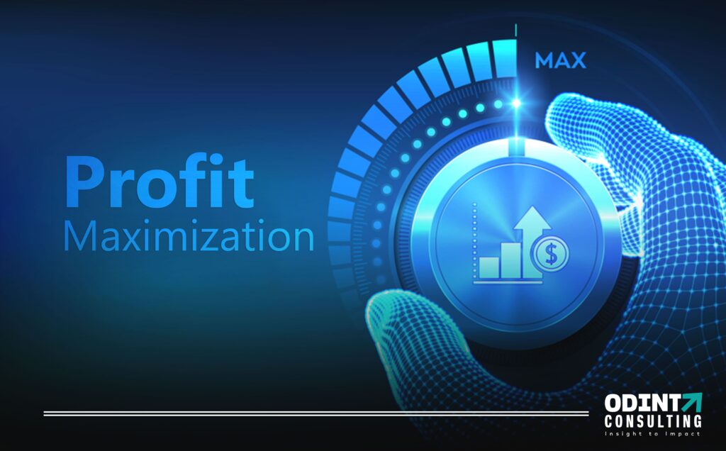 profit maximization strategies