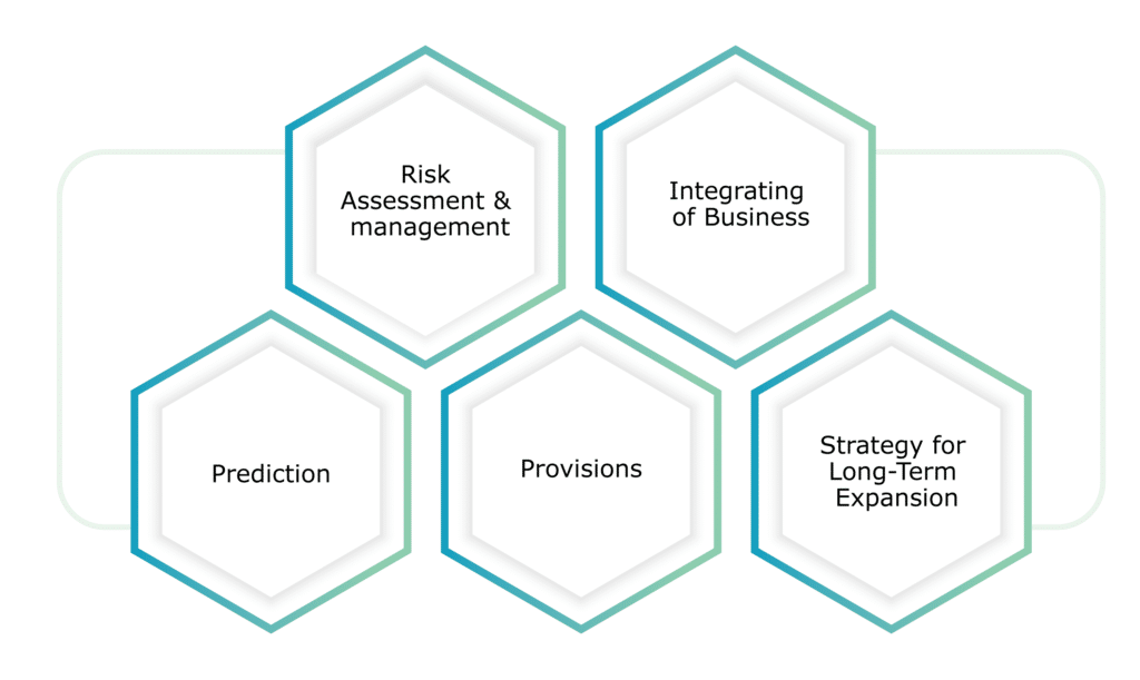 responsibilities of a chief financial officer cfo