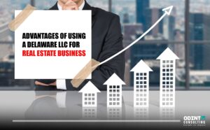 advantages of using a delaware llc for real estate business