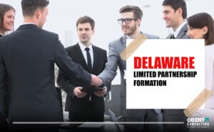 delaware limited partnership formation