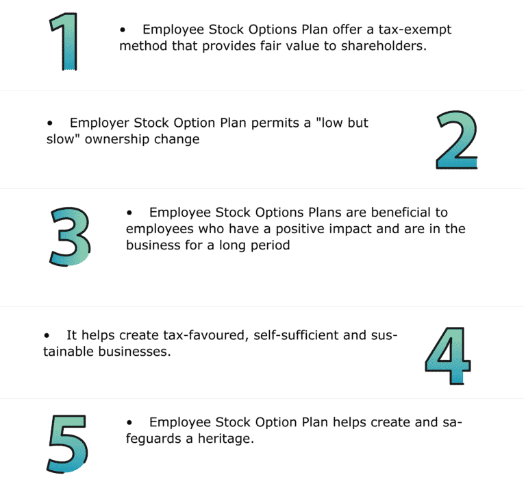 Employee Stock Option Plan in India 2022 Advantages, Requirements