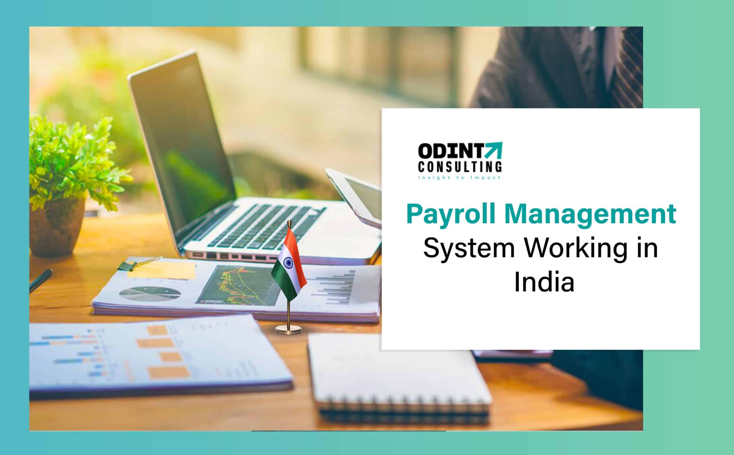 Payroll Management System Working In India: Significance & Simplified Notion