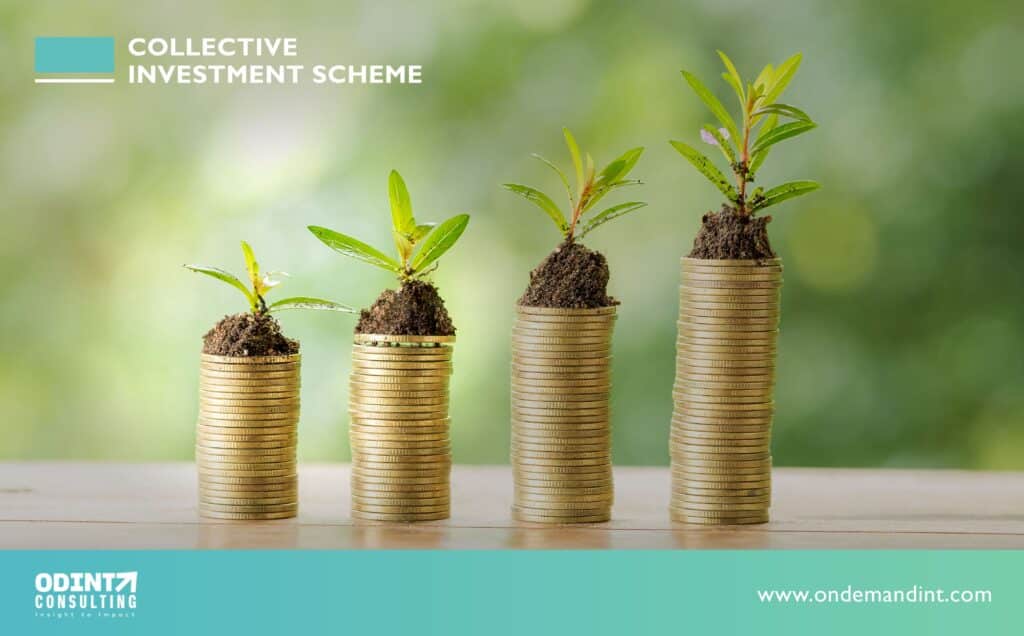 Collective Investment Schemes Meaning, Participants & Eligibility