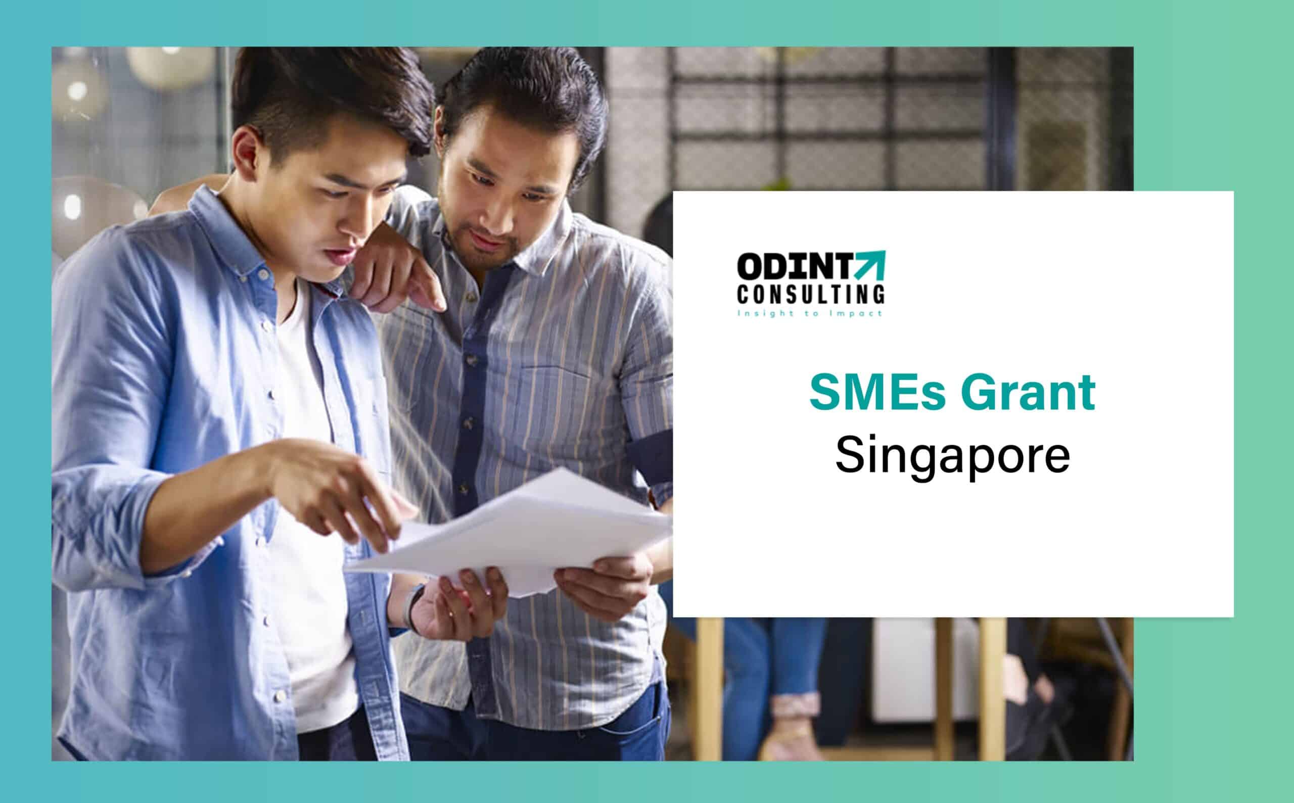 SMEs Grant Singapore: Various Programs & Eligibility Criteria