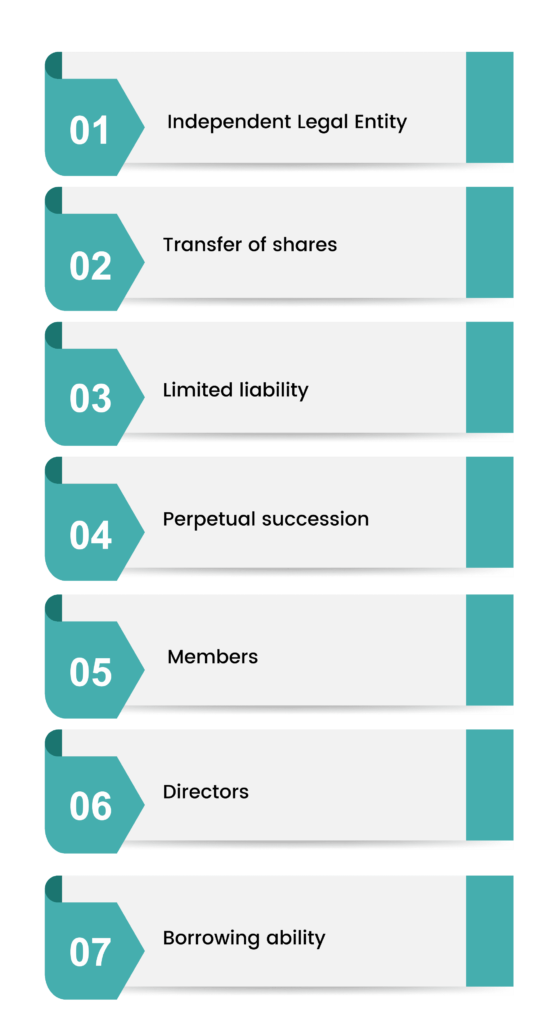 features of a public listed company