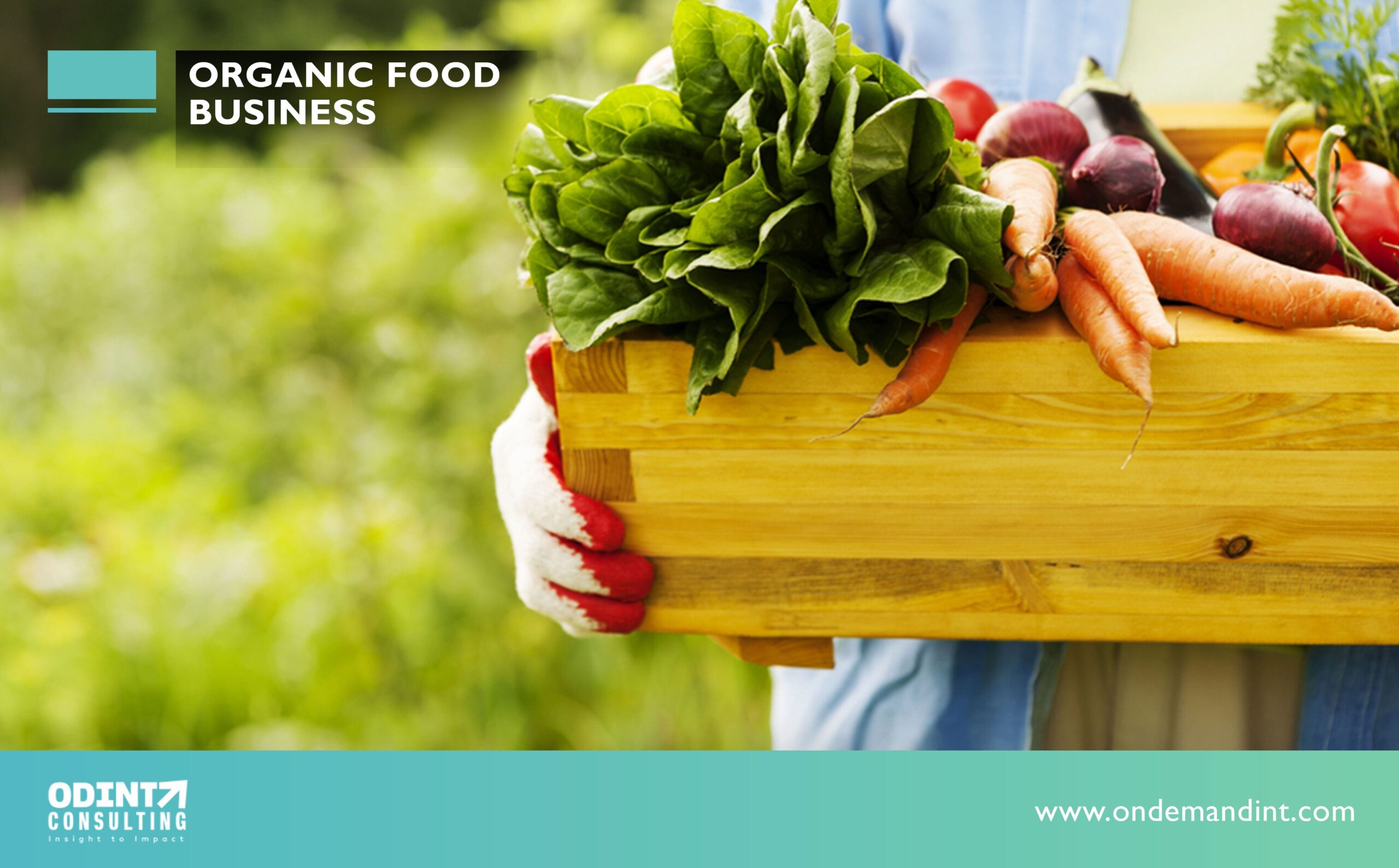 Organic Food Business: Instructions to Follow