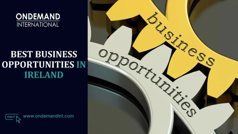 best business opportunities in ireland