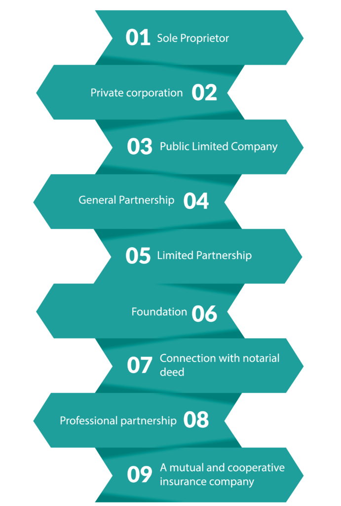 legal structure of hague company registration