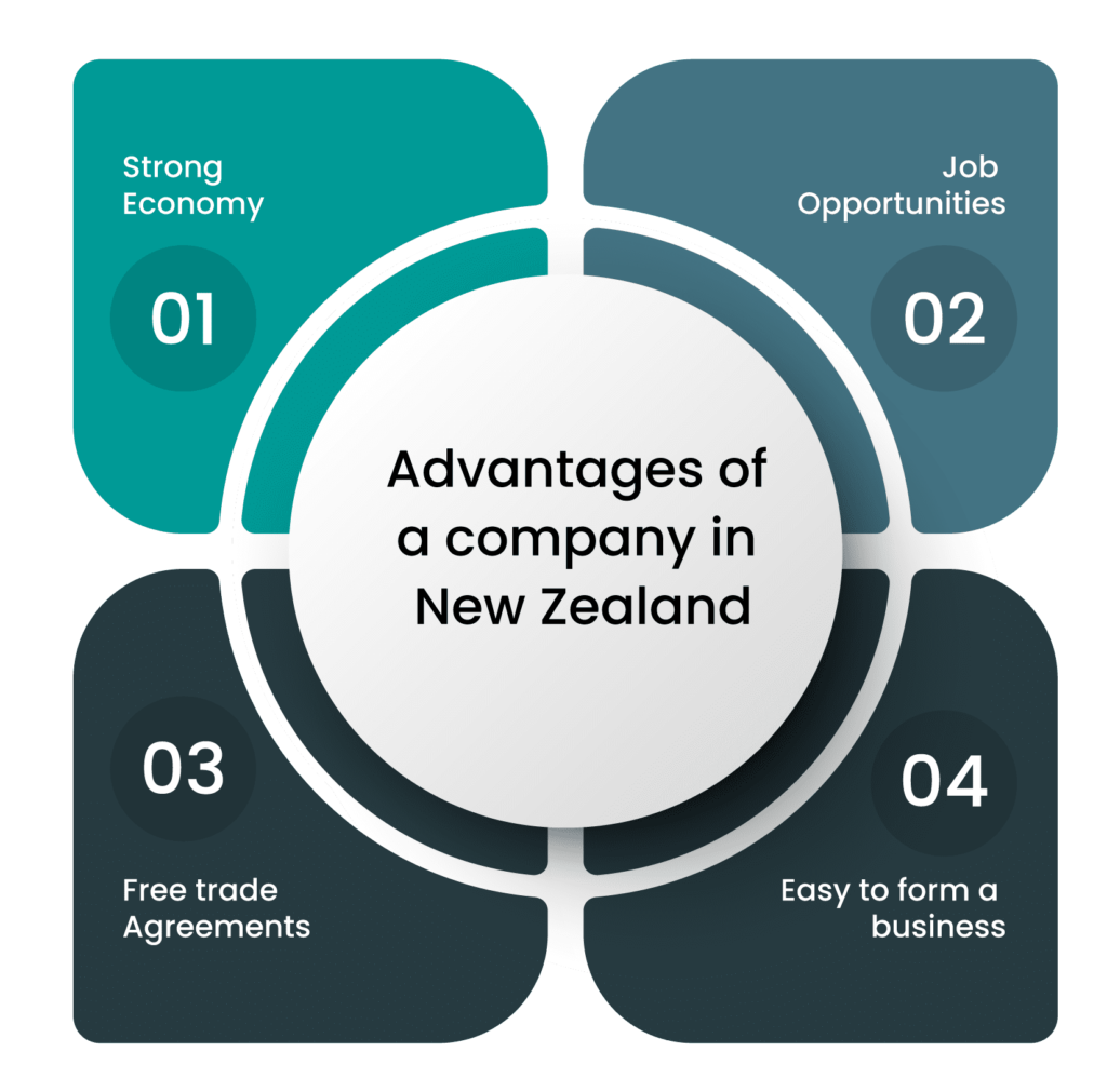 Advantages of company registration in New Zealand