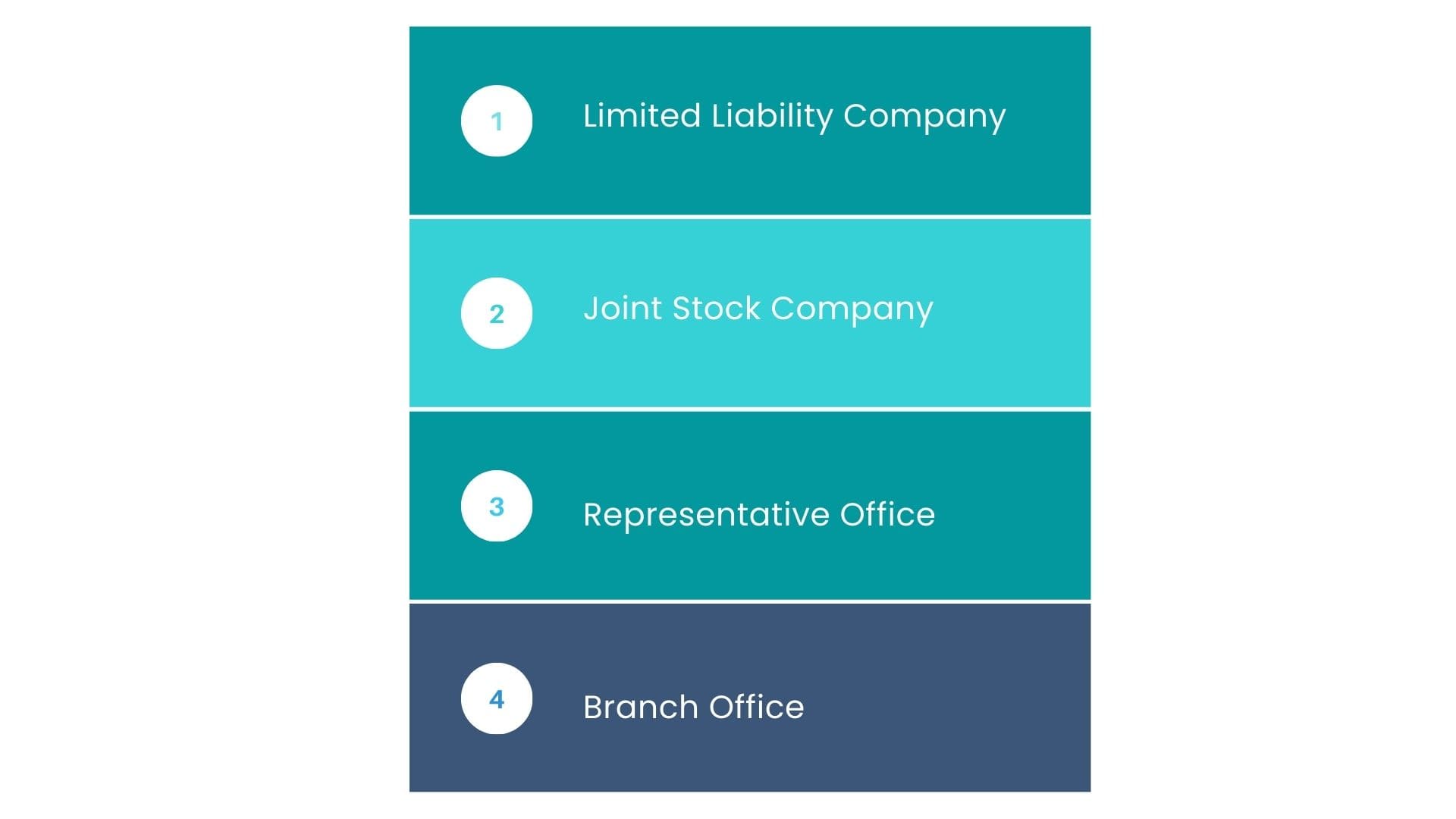 business entities for vietnam company registration