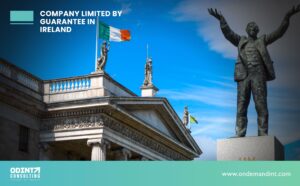 company limited by guarantee in ireland