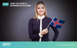 cost to start a business in iceland