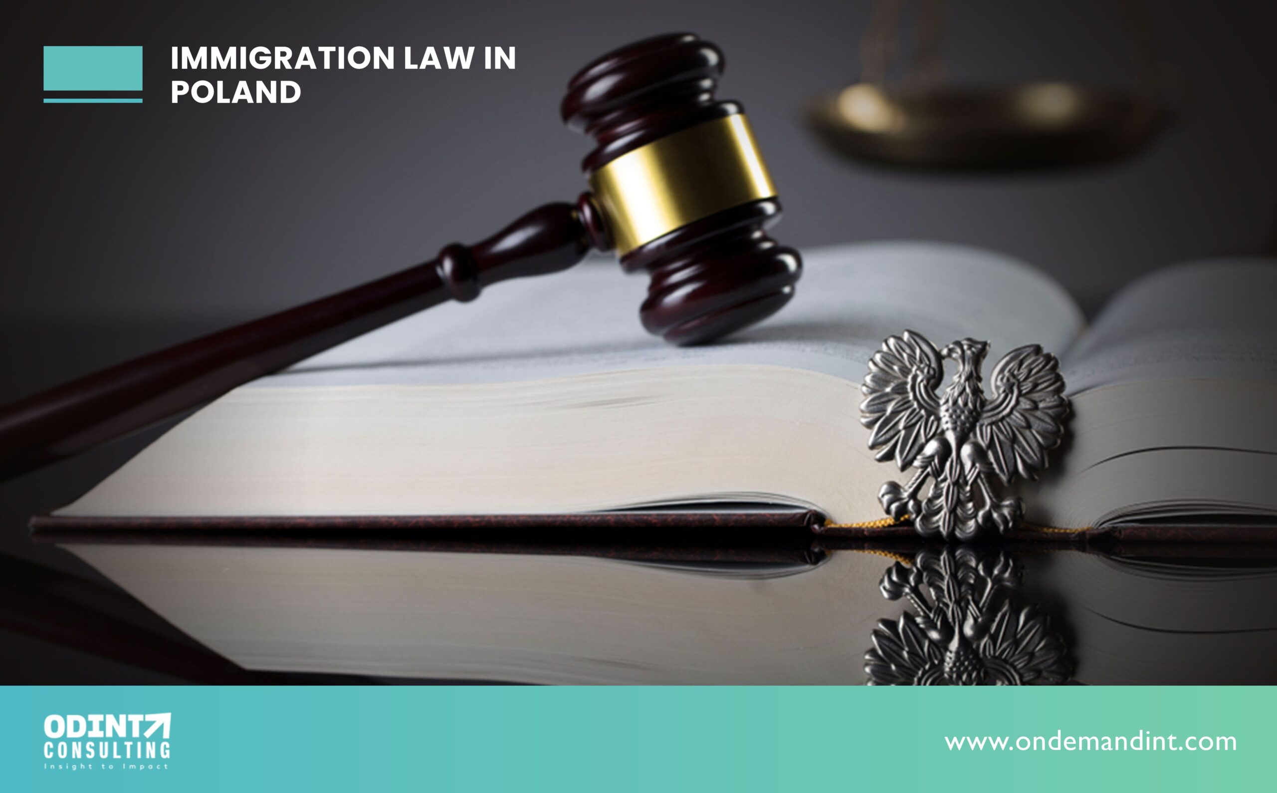 Immigration Laws In Poland: Meaning, Visa Categories & Measures To Avoid Unlawful Employment