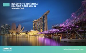 reasons to register a holding company in singapore