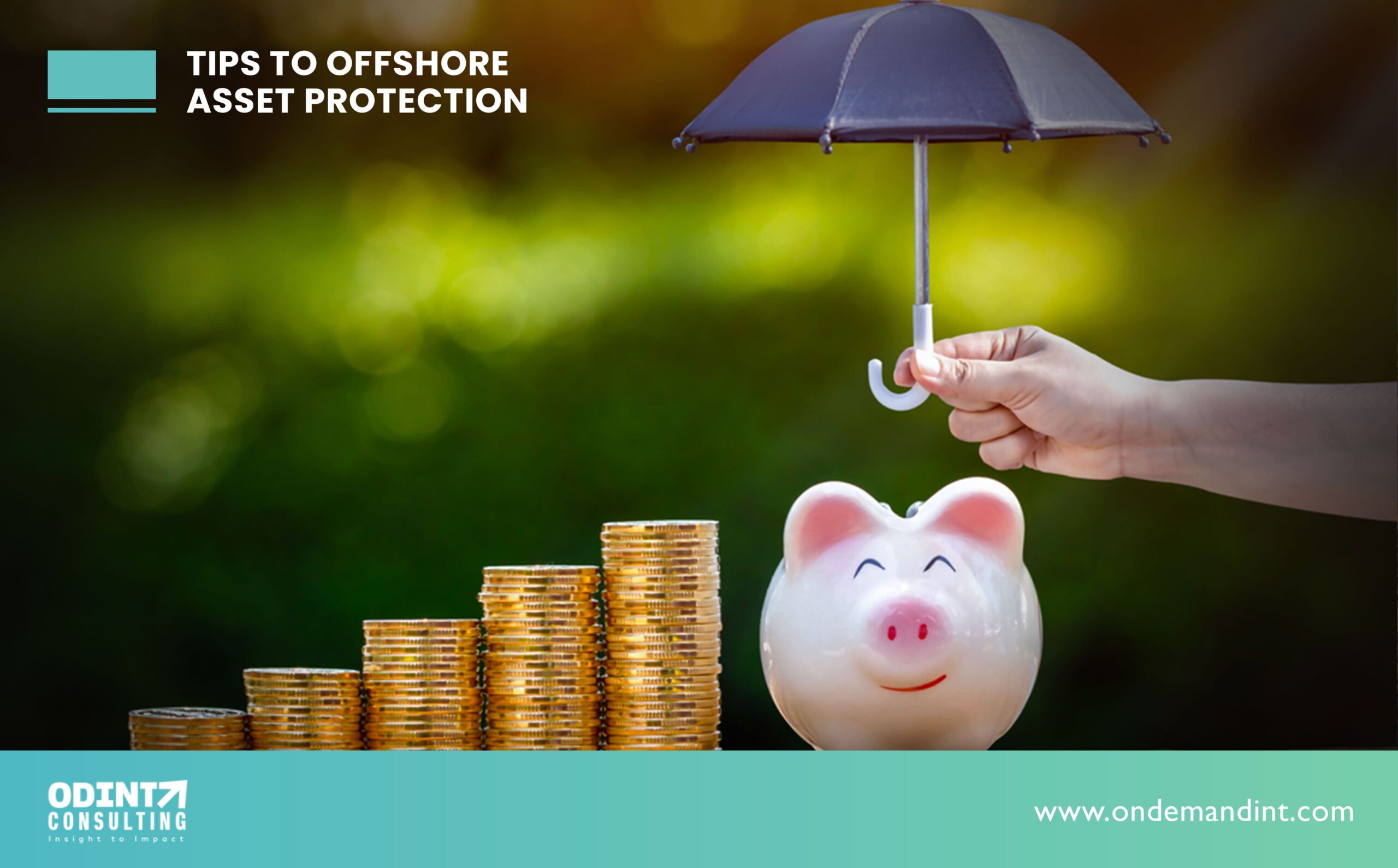 11 Tips To Offshore Asset Protection in 2023-24