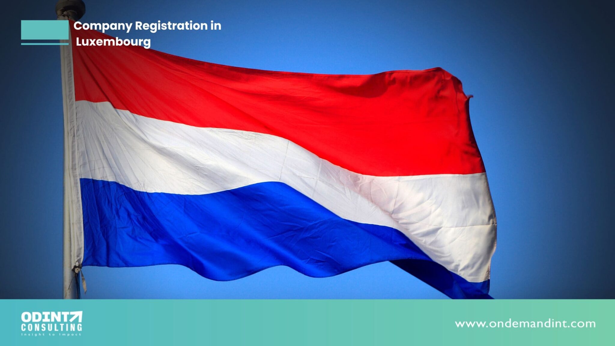 TOP 100 COMPANY DIRECTORY LIST IN LUXEMBOURG visual data 4