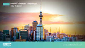 reasons to setup a company in new zealand