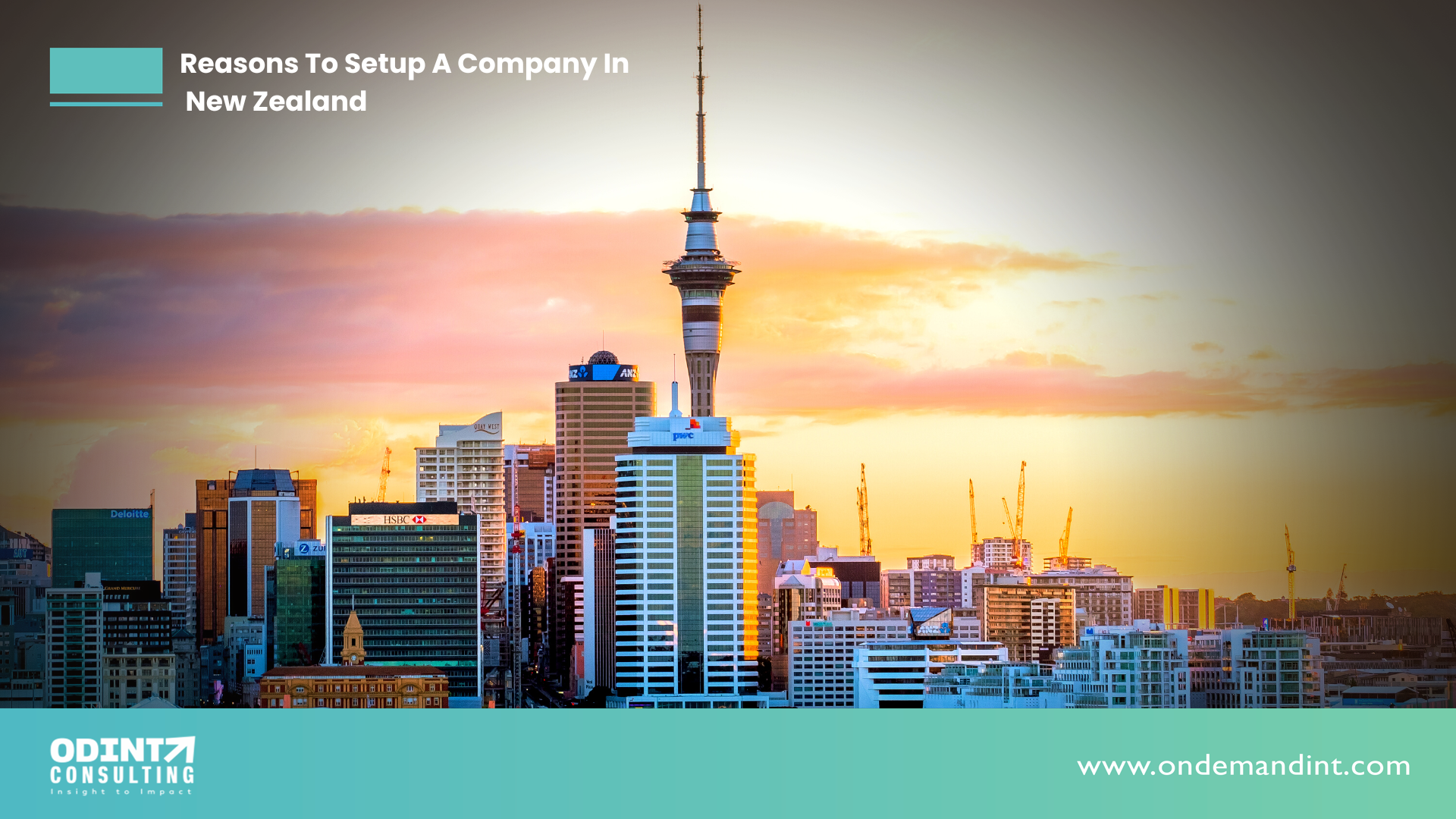 6 Reasons To Setup A Company In New Zealand in 2023-24| Odint