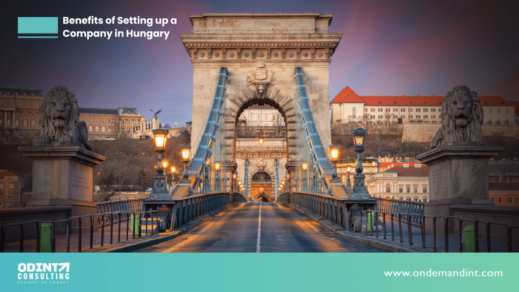 benefits of setting up a company in hungary