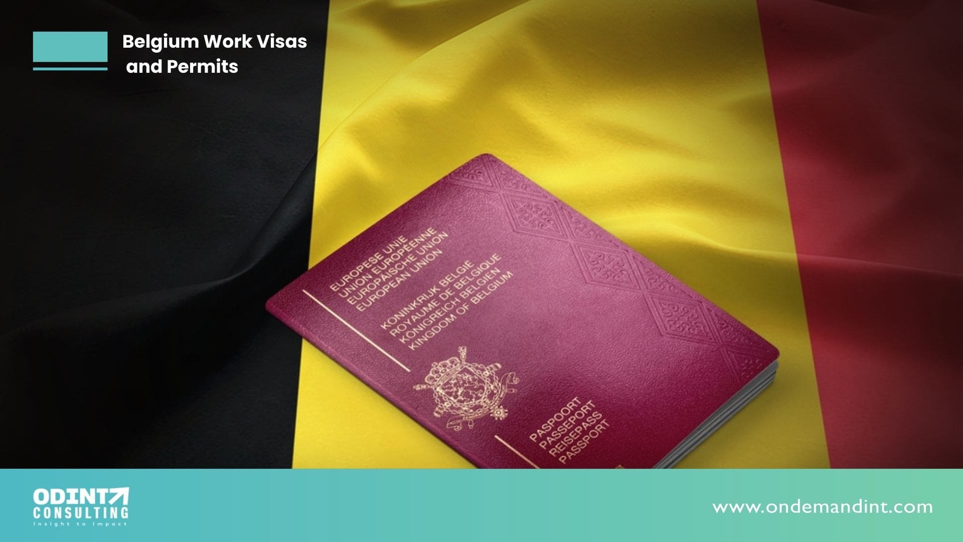 Belgium Work Visas and Permits: Types, Procedure, & Documents Required