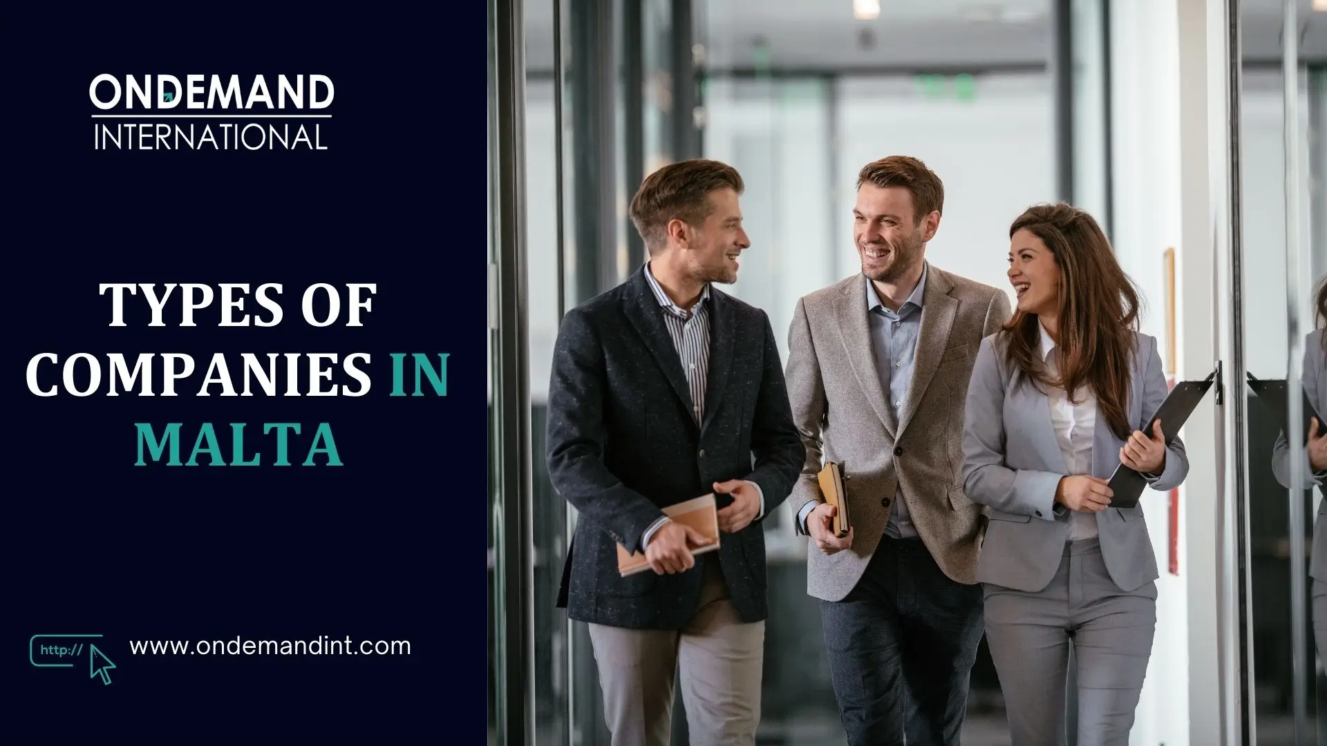 types of companies in malta
