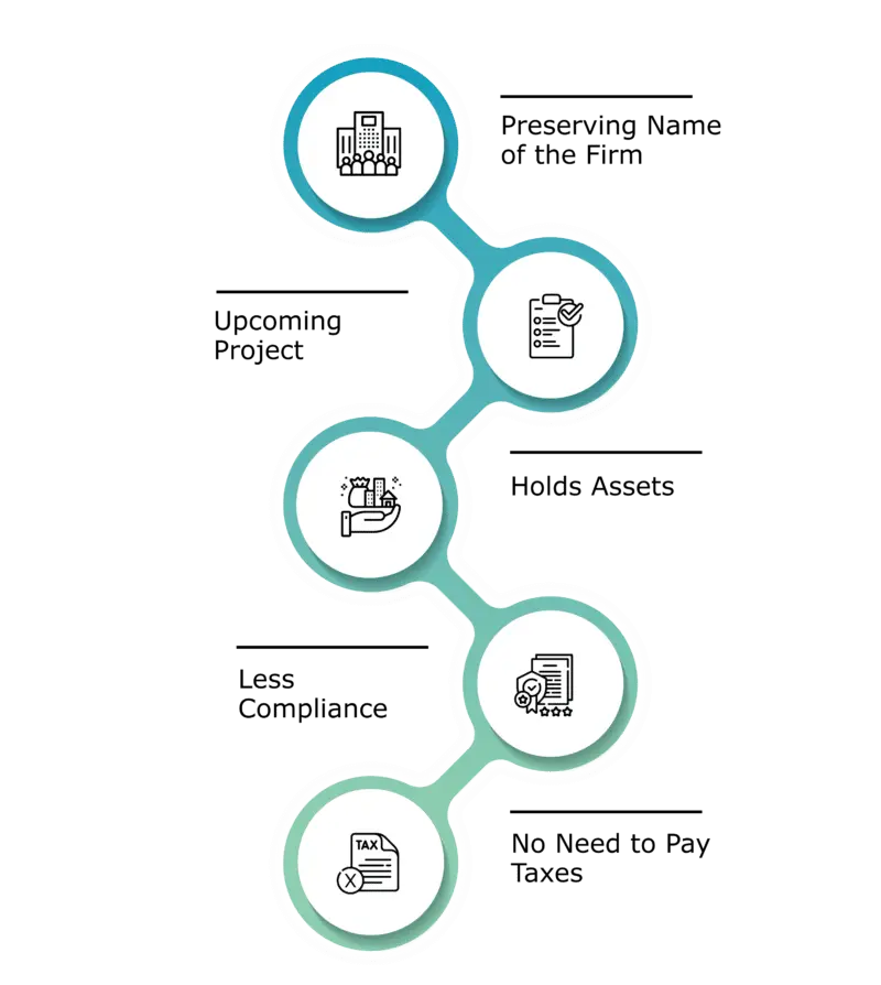 advantages of dormant company