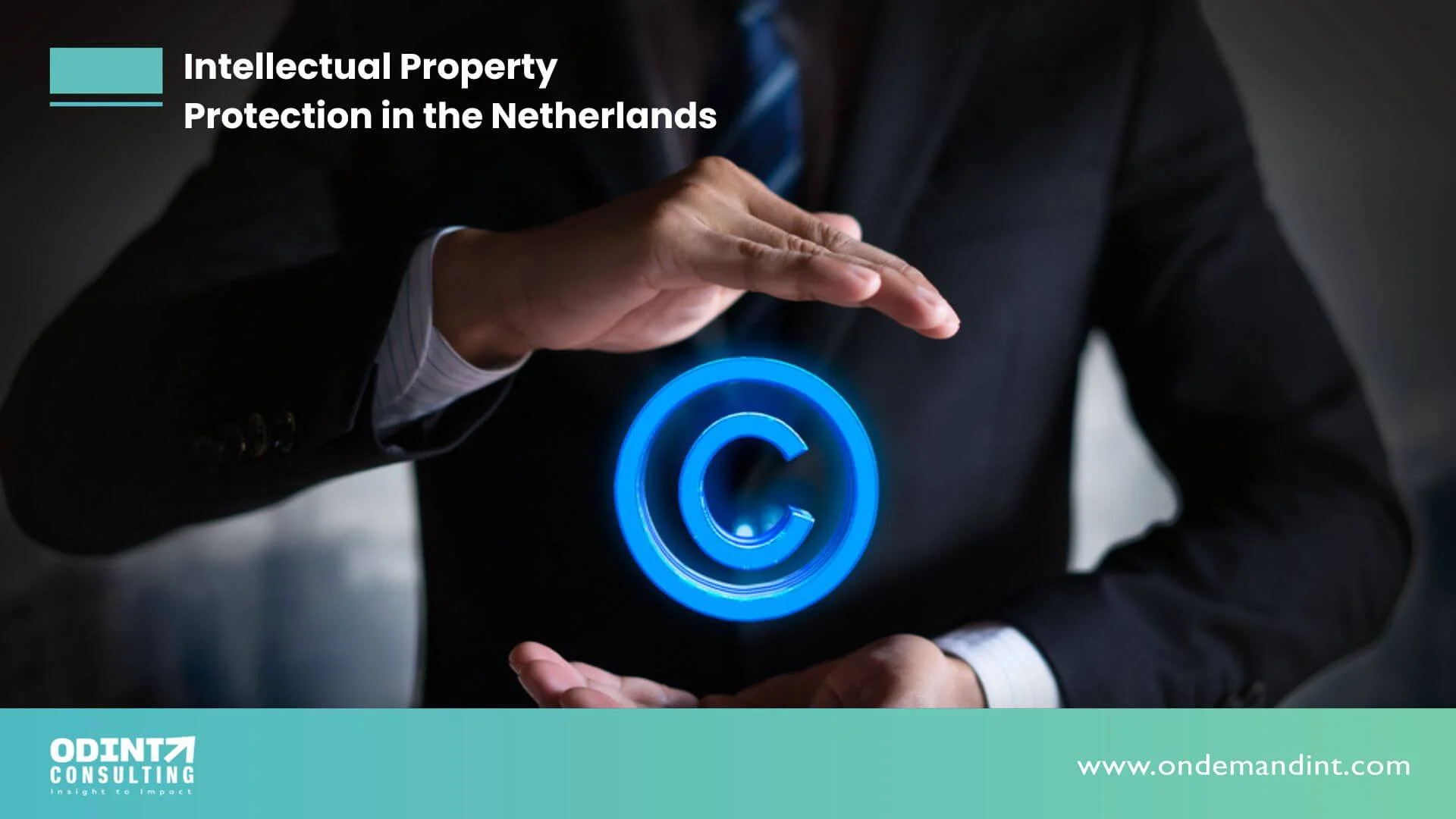 intellectual property protection in the netherlands