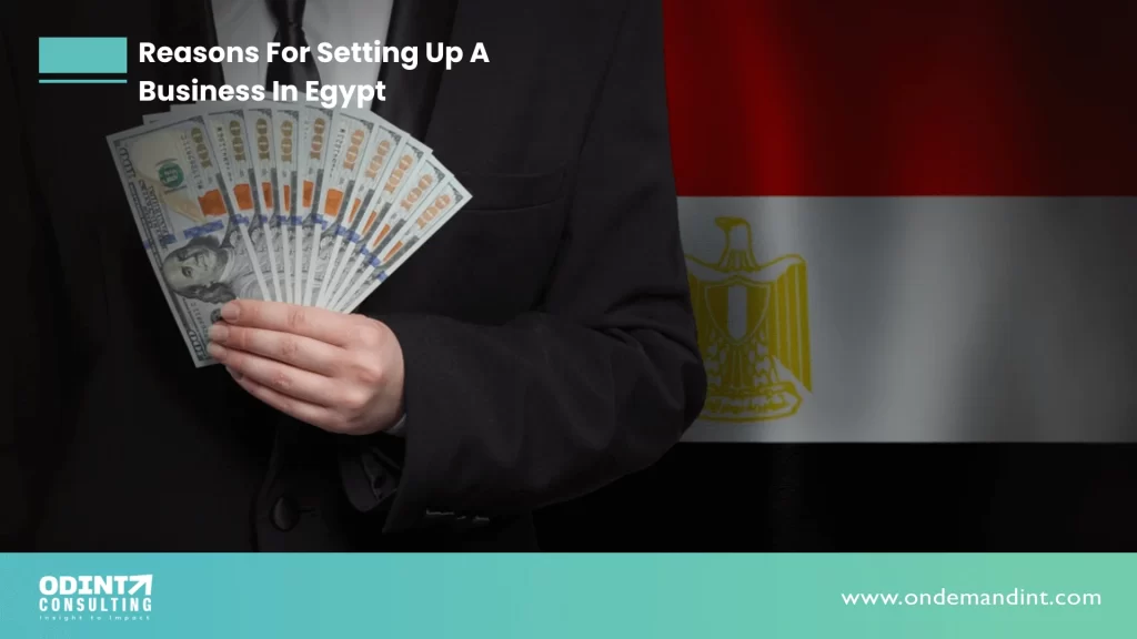 reasons for setting up a business in egypt
