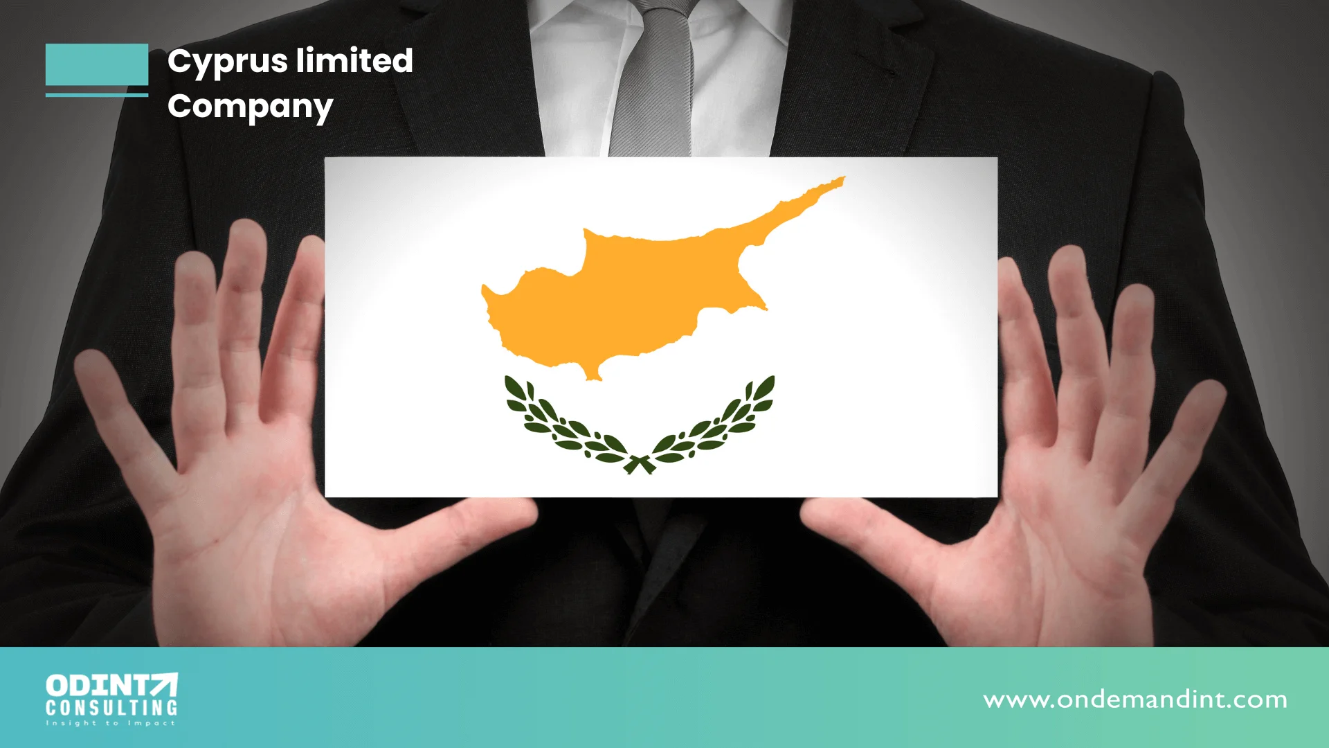 Establishing a Cyprus Limited Company: A Step-By-Step Guide
