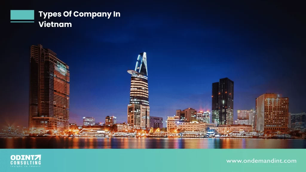 types of company in vietnam