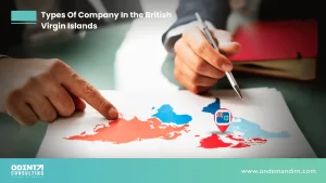 types of company in the british virgin islands