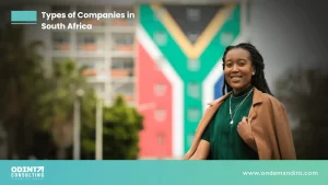 types of companies in south africa