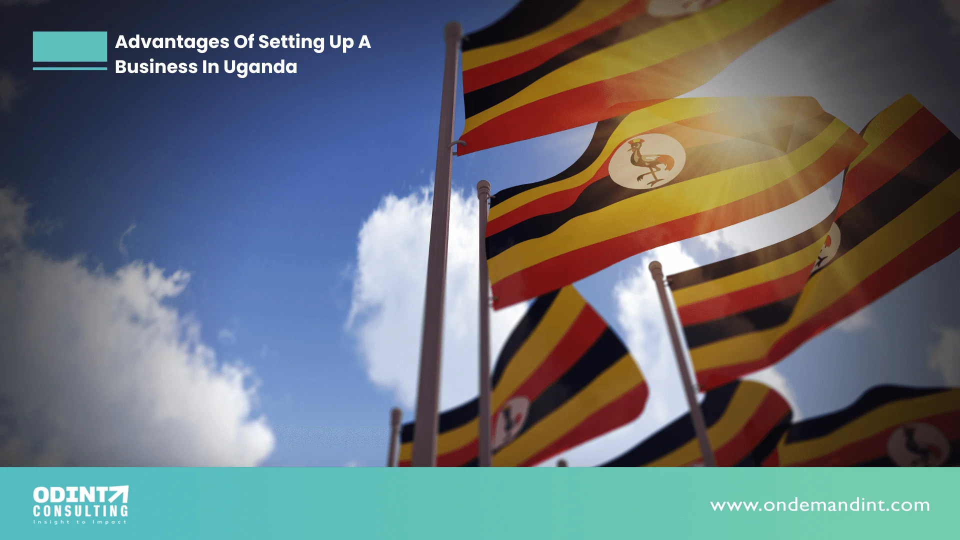 Top 6 Advantages Of Setting Up A Business In Uganda In 202324