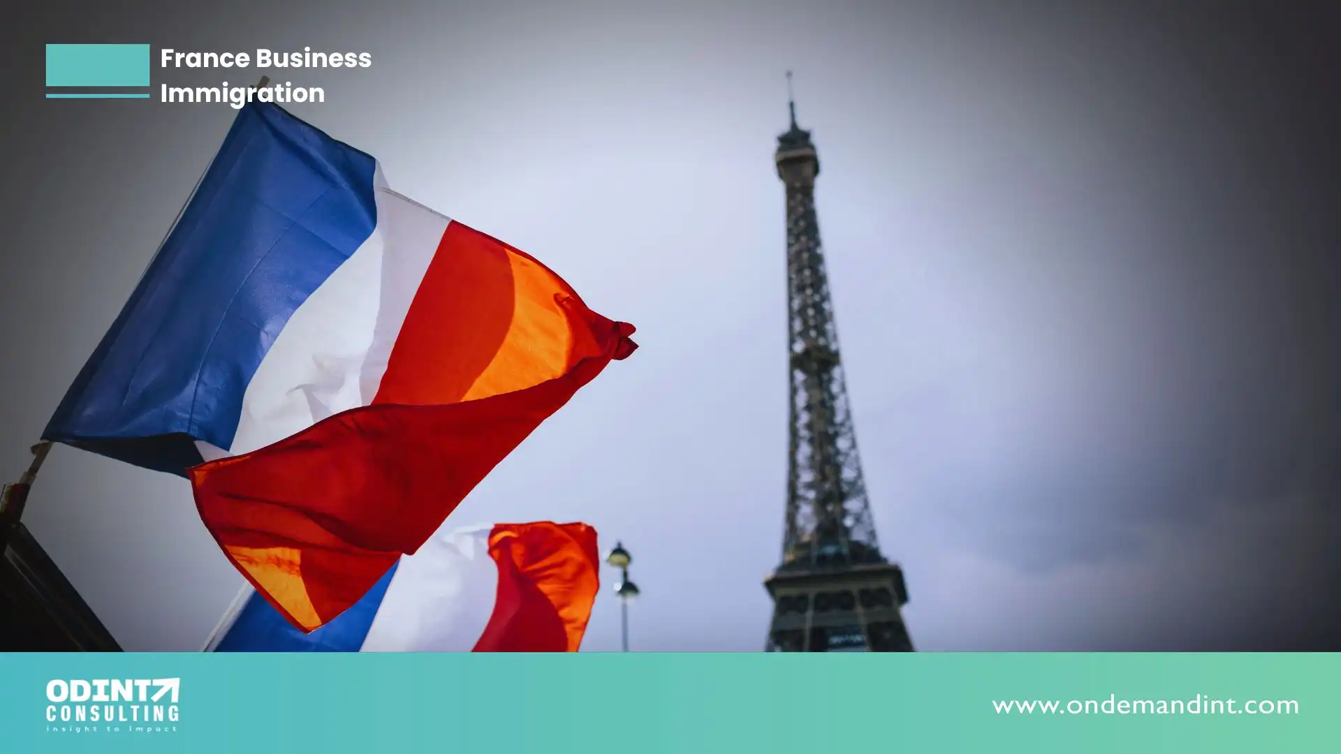 France Business Immigration