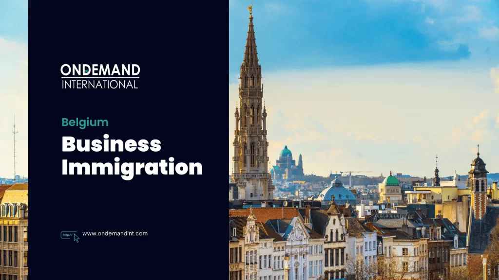 belgium business immigration