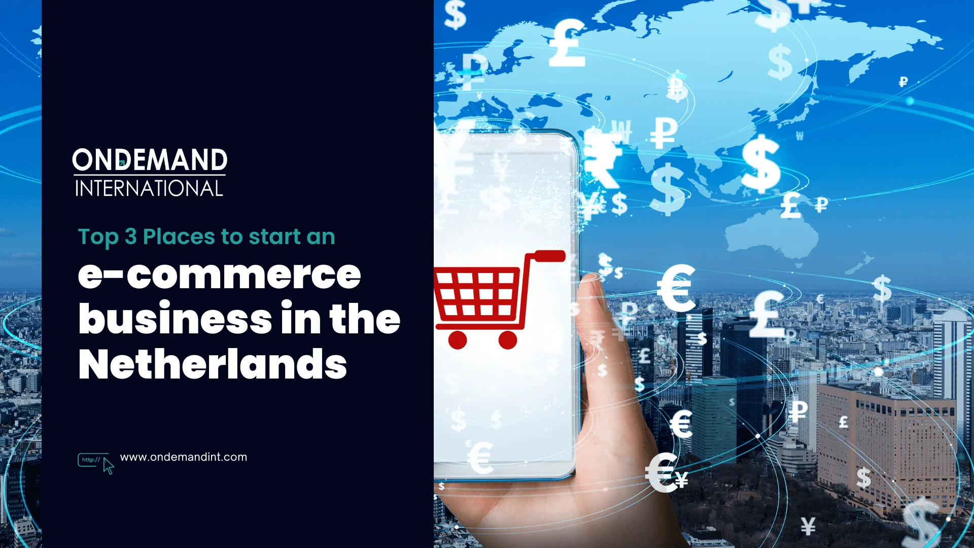 Top Places to Start an E-Commerce Business in the Netherlands: 3 Key Business Locations